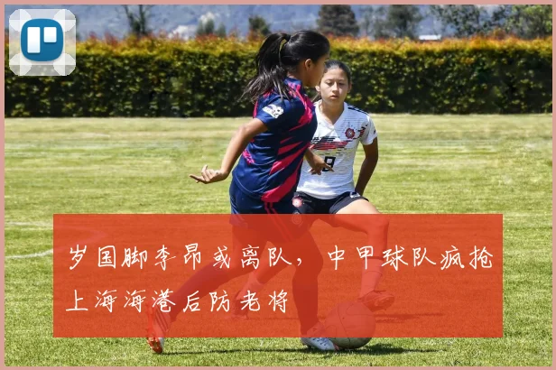 岁国脚李昂或离队，中甲球队疯抢上海海港后防老将