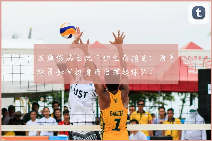 灰熊伤病困扰下的生存指南：角色球员如何挺身而出撑起球队？