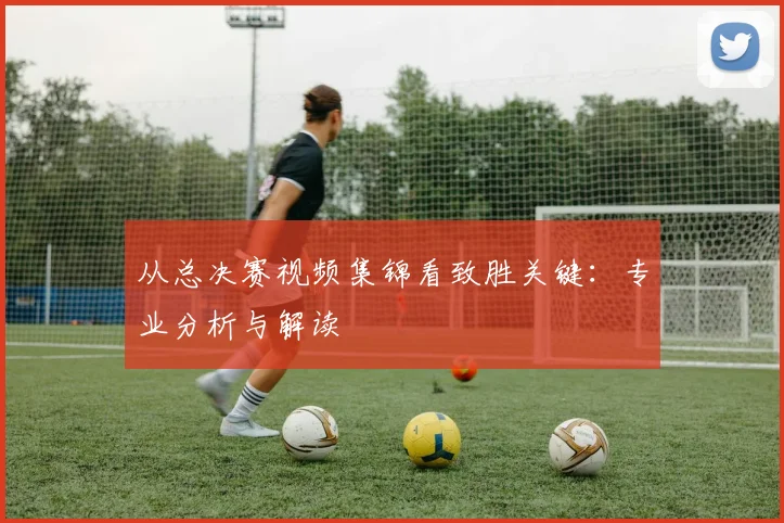从总决赛视频集锦看致胜关键:专业分析与解读