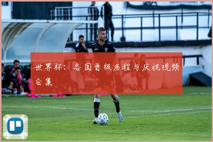 世界杯：各国晋级历程与庆祝视频合集